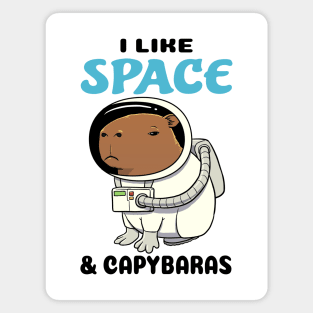 I Like Space and Capybaras Magnet